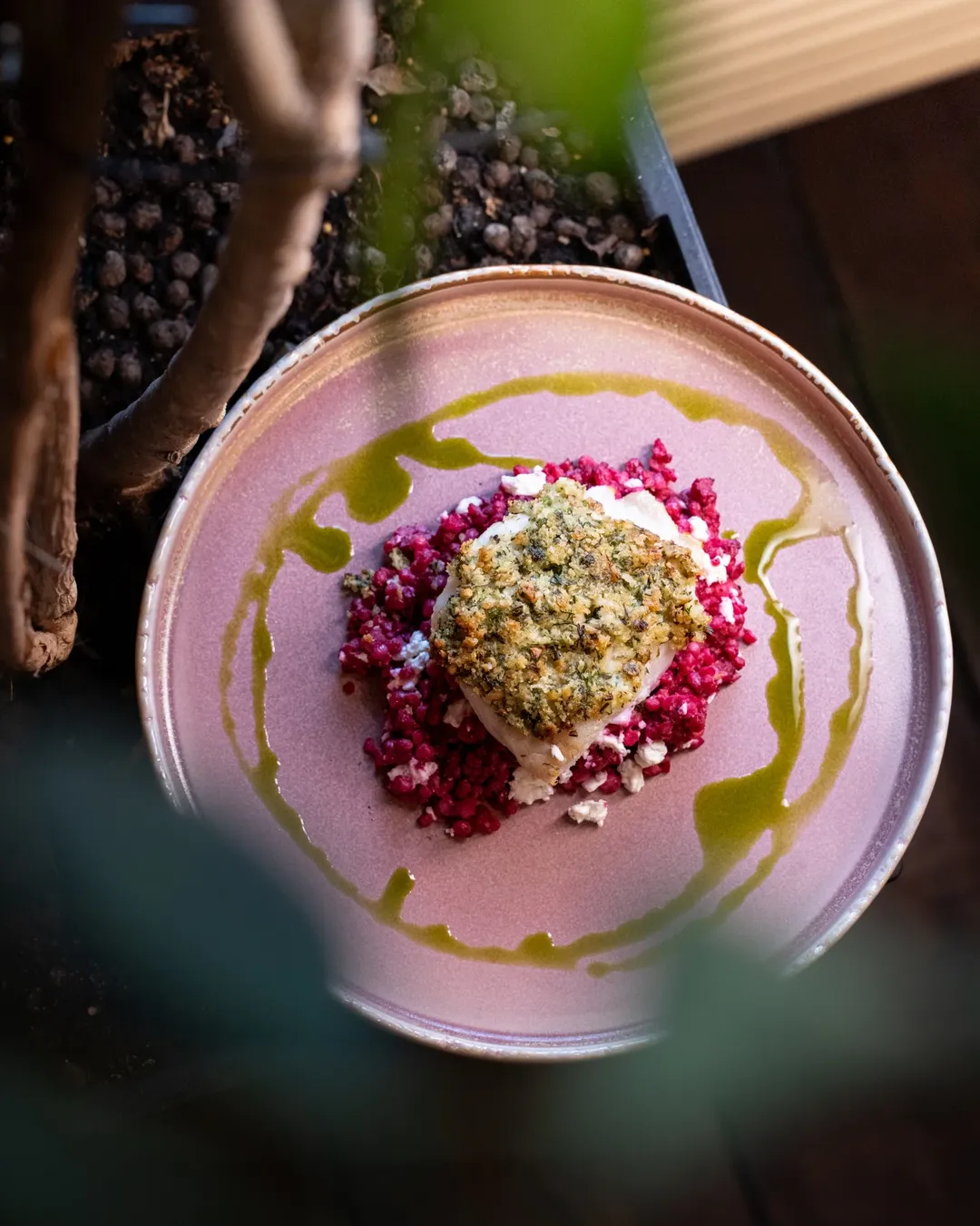 Miruna na buraczanym pęczotto Bistro Bravo